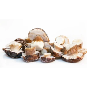 BOLETUS EDULIS ENTERO